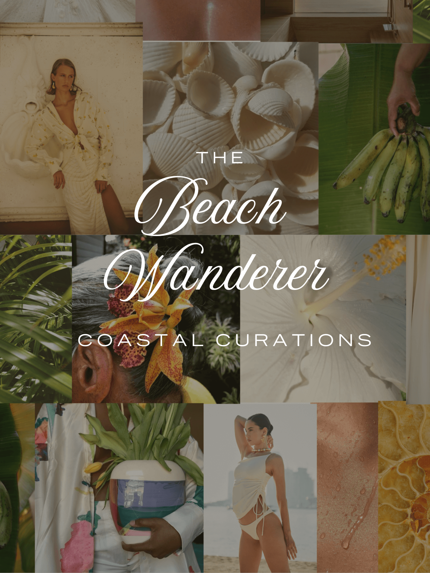 BEACH WANDERER